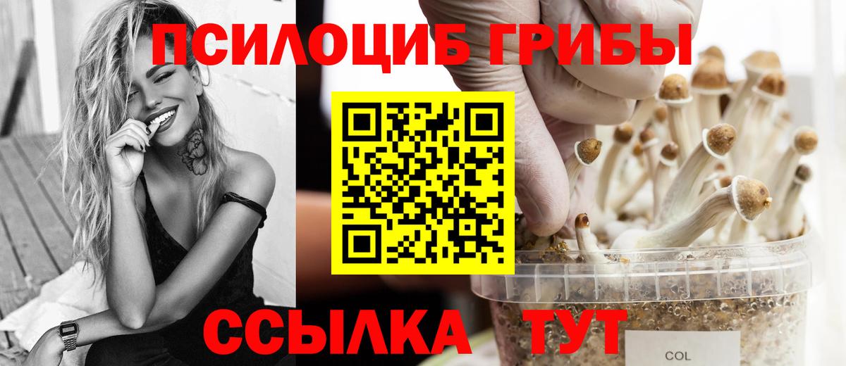 Псилоцибиновые грибы MAGIC MUSHROOMS Бугуруслан